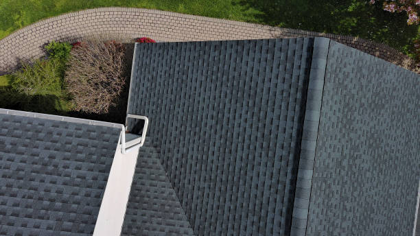 Best Roof Moss and Algae Removal  in Pine Lawn, MO