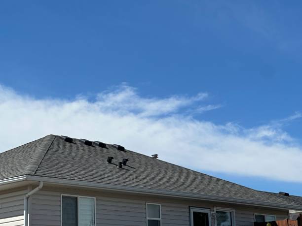 Trusted Pine Lawn, MO Roofing Service Experts